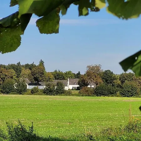 Bed & Breakfast De Grote Waaij Well (Limburg)