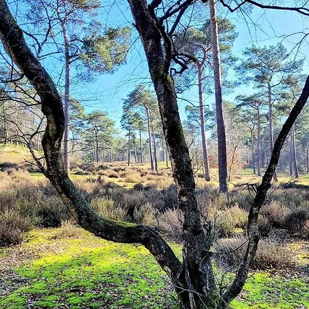 Couette-café De Grote Waaij