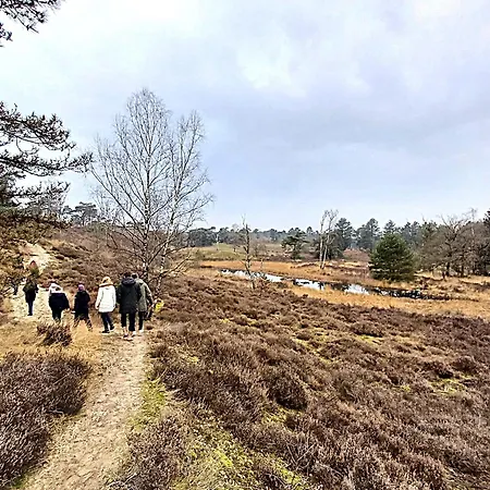 De Grote Waaij לינה וארוחת בוקר Well (Limburg)
