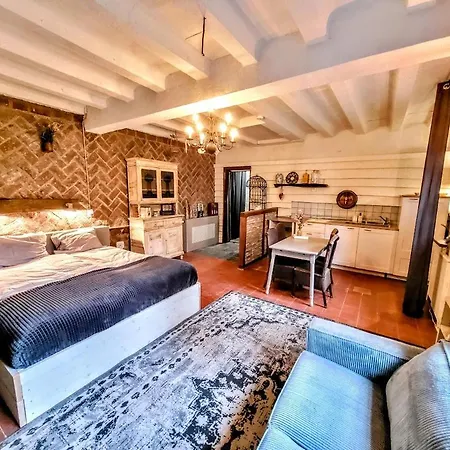 De Grote Waaij 3* Well (Limburg)