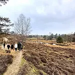 De Grote Waaij Bed & Breakfast Well (Limburg)
